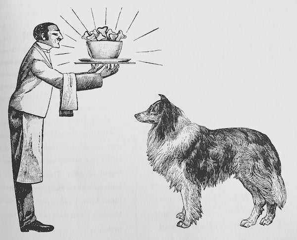 Getreidefreie Leber-Muffins mit Kürbis