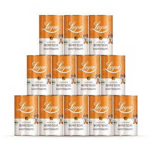Moro’sche Karottensuppe-leyen_gesundheit_bio-moro-karottensuppe_