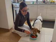 Hundebesitzer:in