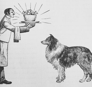 Getreidefreie Leber-Muffins mit Kürbis