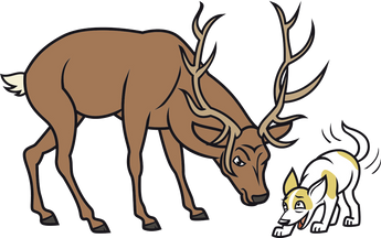Kausnacks aus Wild, Reh & Hirsch
