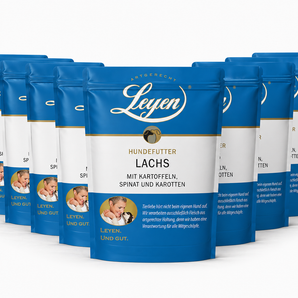 Sparpaket Lachs - 10 Pouches