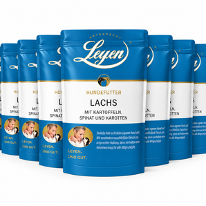Sparpaket Lachs - 12 Pouches mit je 370 g