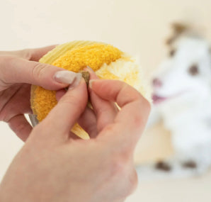 Toto der Schnüffelball