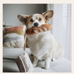 Mini, das Baguette