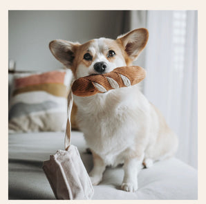 Mini, das Baguette