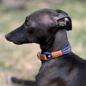 Louis Kollektion Halsband