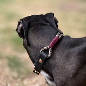 Violetta Kollektion Halsband