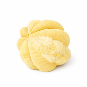 Toto der Schnüffelball