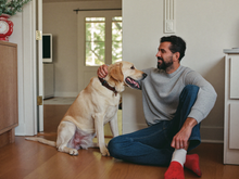Hundebesitzer:in