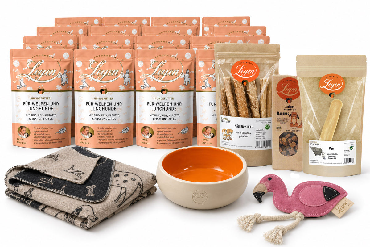 Der beste Start: Unser Welpenpaket